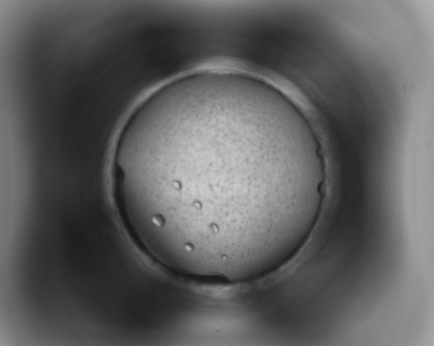 X0000089861248200707191915