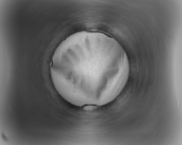 X0000089861249200707191914