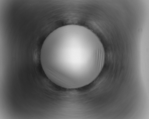 X0000089861250200707191914