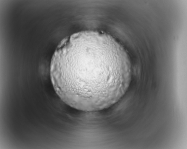 X0000089861251200707191914