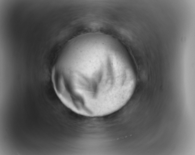 X0000089861253200707191914