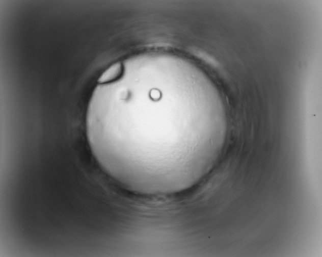 X0000089861255200707191914