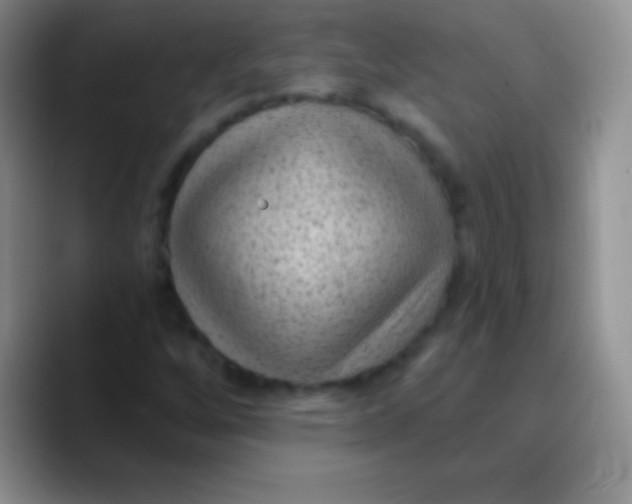 X0000089861256200707191914