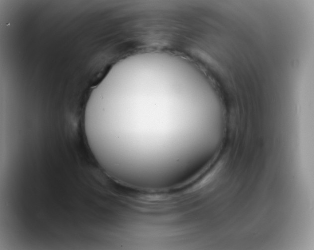 X0000089861257200707191914