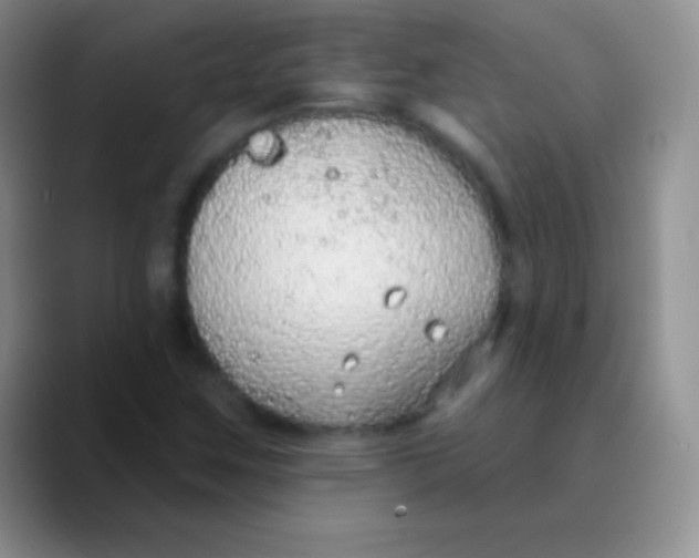 X0000089861259200707191914