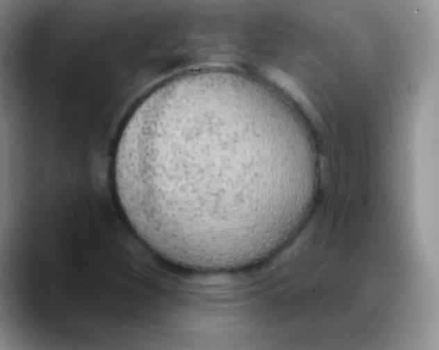 X0000089861260200707191914