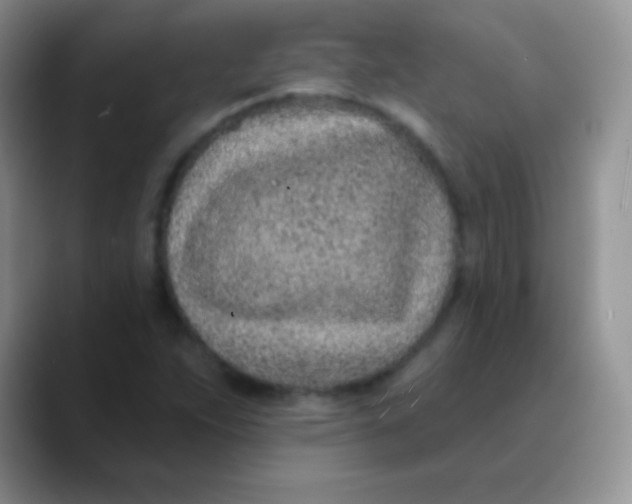 X0000089861263200707191914