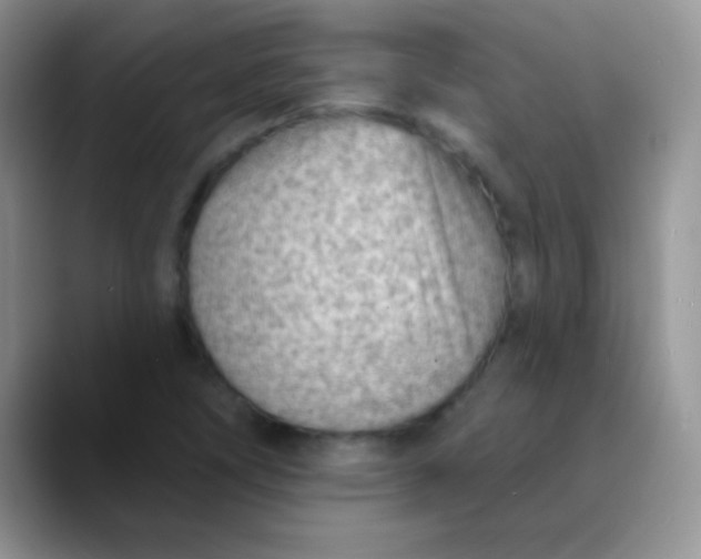 X0000089861266200707191914