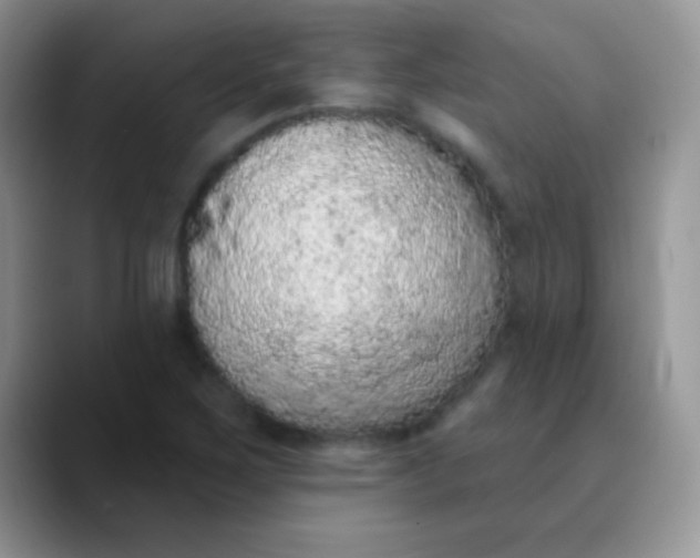 X0000089861267200707191914