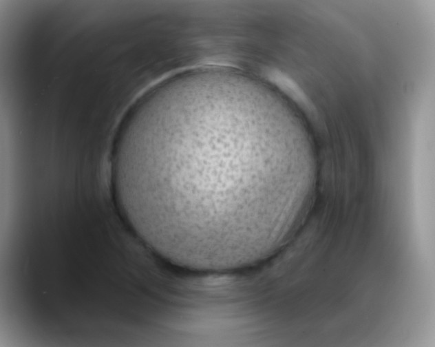 X0000089861268200707191914