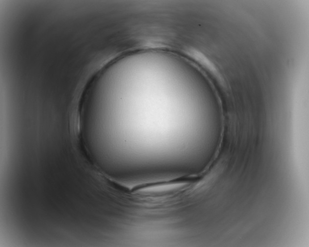 X0000089861269200707191914