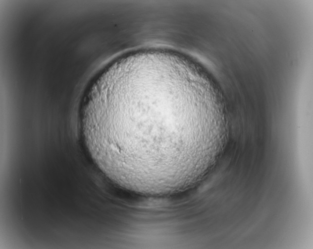 X0000089861271200707191914