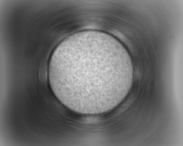 X0000089861274200707191914