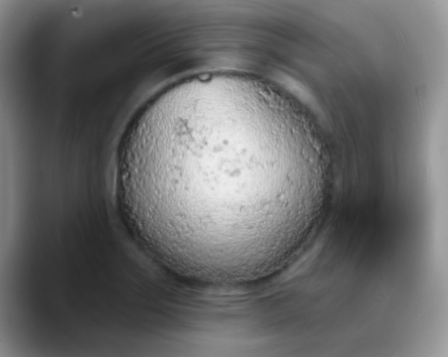 X0000089861275200707191914