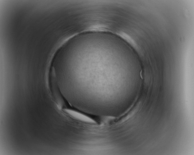 X0000089861277200707191914