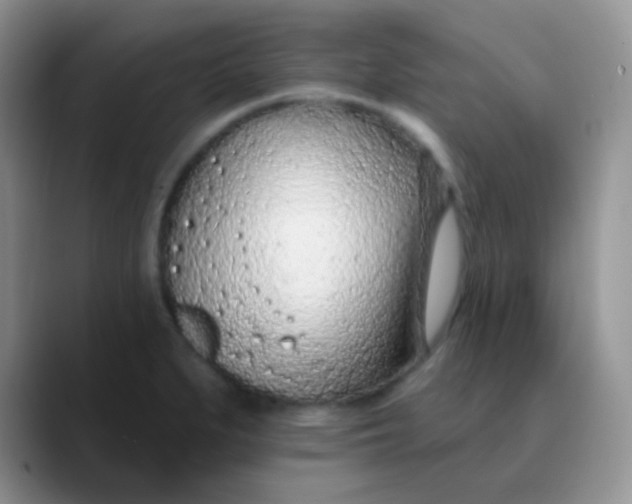 X0000089861279200707191914