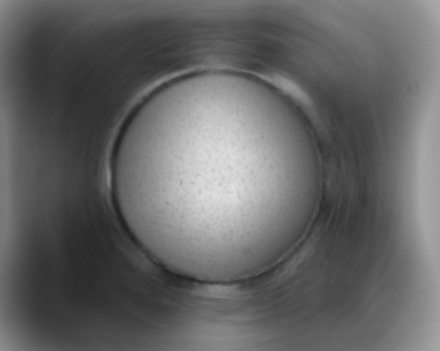 X0000089861280200707191914