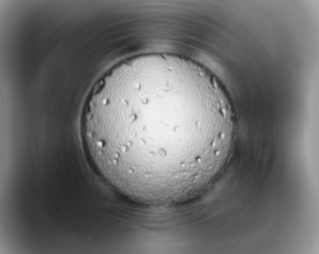 X0000089861283200707191914