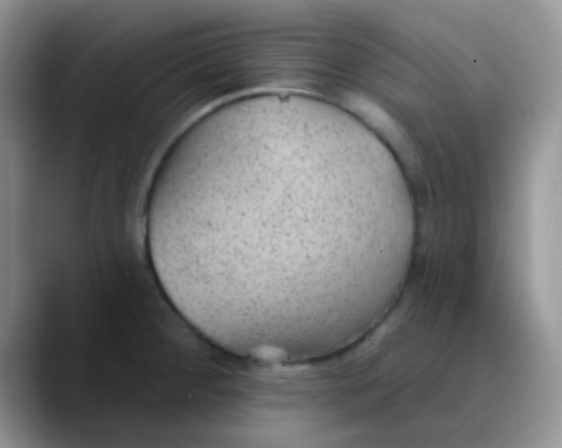 X0000089861284200707191914