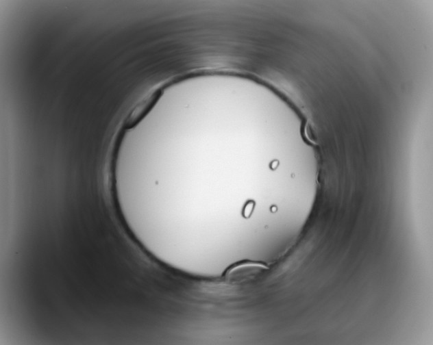 X0000089861285200707191914