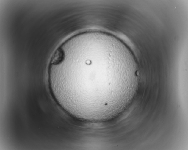 X0000089861287200707191914