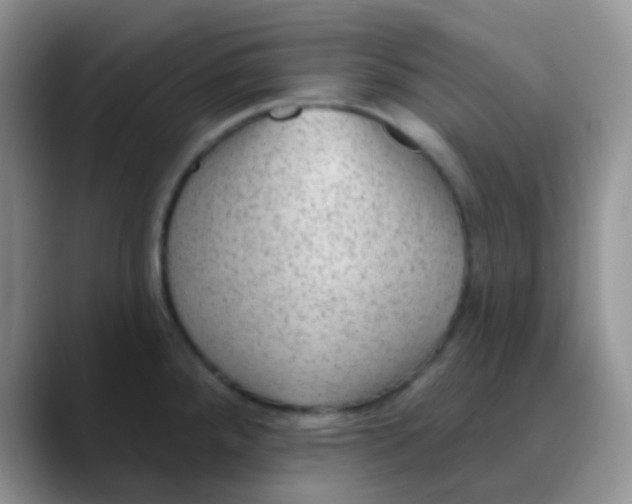 X0000089861288200707191914