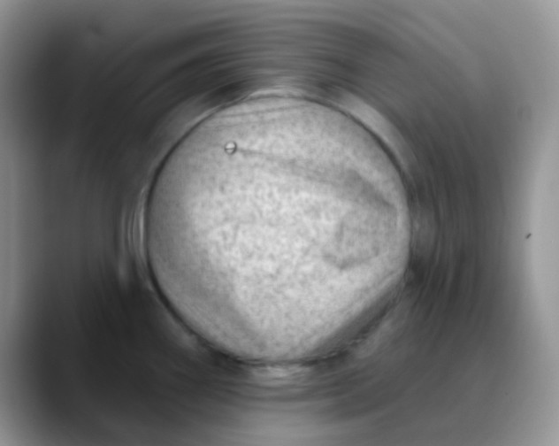 X0000089861290200707191914