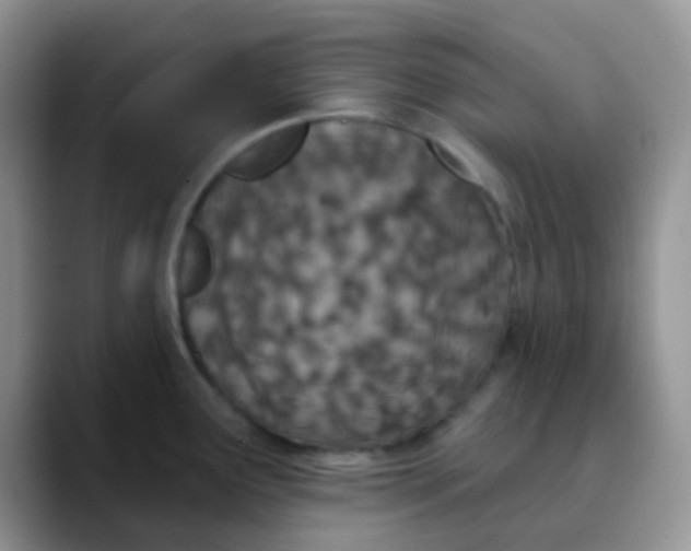 X0000089861291200707191914