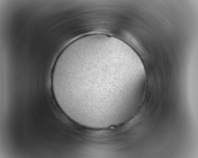 X0000089861292200707191914