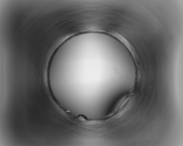 X0000089861293200707191914