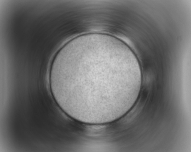 X0000089861294200707191913