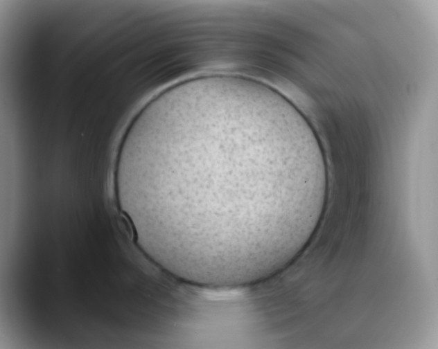 X0000089861296200707191913