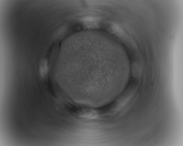 X0000089861298200707191913