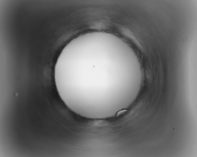 X0000089861304200707191913