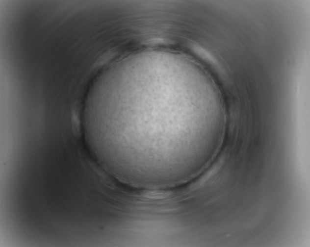 X0000089861305200707191913