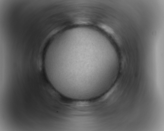 X0000089861306200707191913