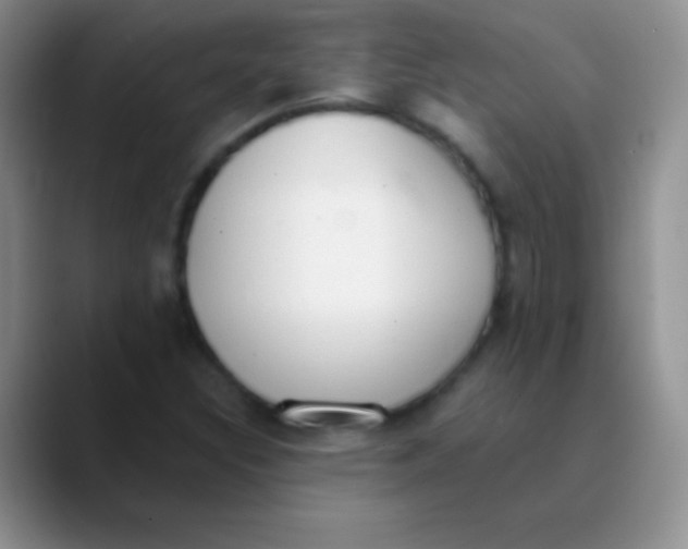 X0000089861308200707191913