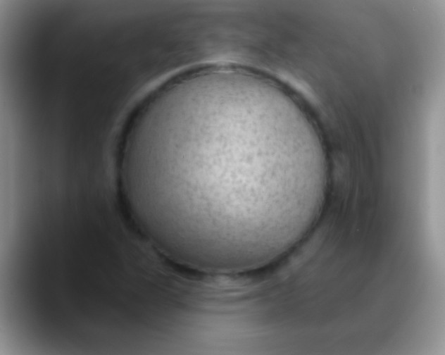 X0000089861311200707191913