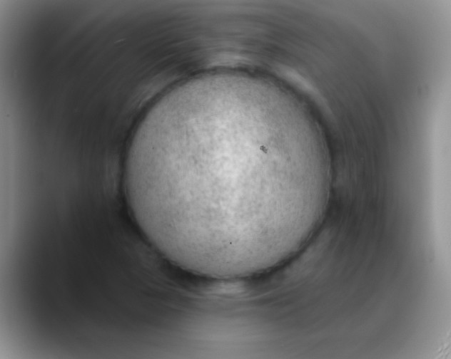 X0000089861313200707191913