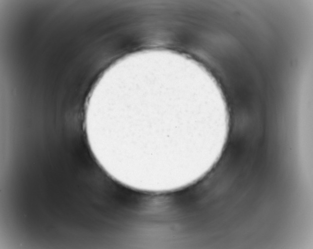 X0000089861314200707191913