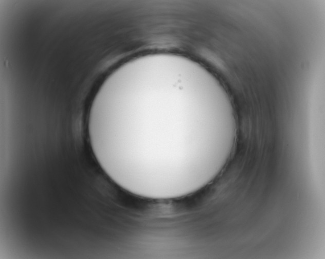 X0000089861315200707191913