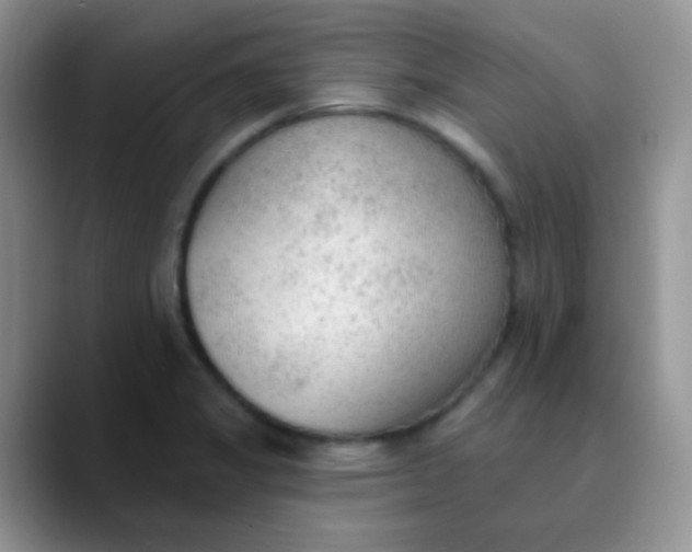 X0000089861325200707191913