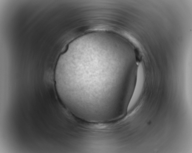 X0000089861329200707191913