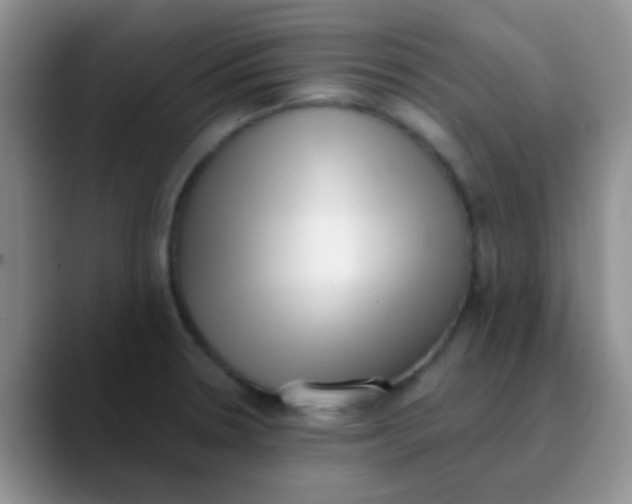 X0000089861330200707191913