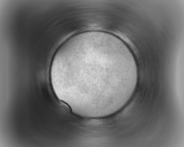 X0000089861333200707191913