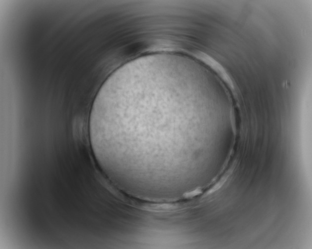 X0000089861337200707191913