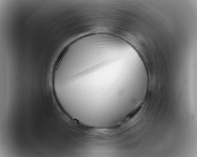 X0000089861342200707191913