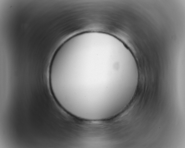 X0000089861343200707191913