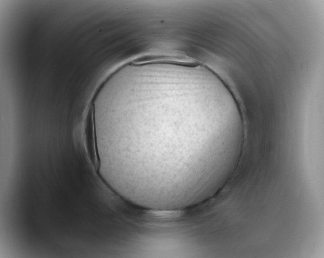 X0000089861344200707191913