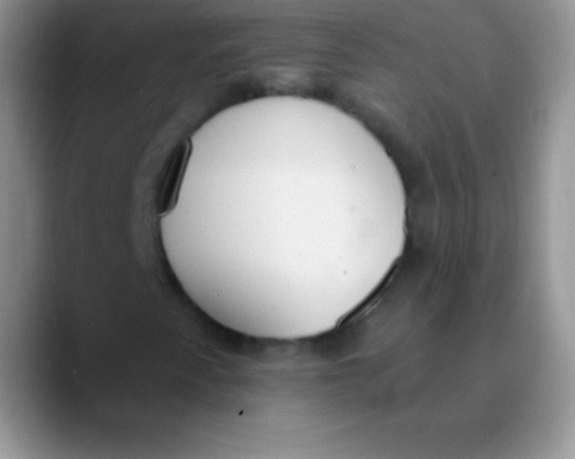 X0000089861345200707191913